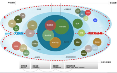 互聯(lián)網(wǎng)技術(shù)驅(qū)動傳統(tǒng)農(nóng)產(chǎn)品批發(fā)市場轉(zhuǎn)型升級
